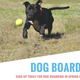 Illustration for article titled Why You Should Pick SuperDog Center for Dog Boarding in Spring Hillem/em